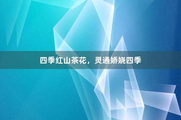 四季红山茶花，灵通娇娆四季