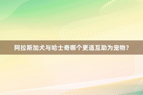 阿拉斯加犬与哈士奇哪个更适互助为宠物？