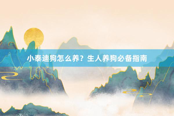 小泰迪狗怎么养？生人养狗必备指南